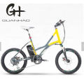 20 Inch Cheaper Mini Kid Boys Small 250 Watt PAS Electric Bicycle